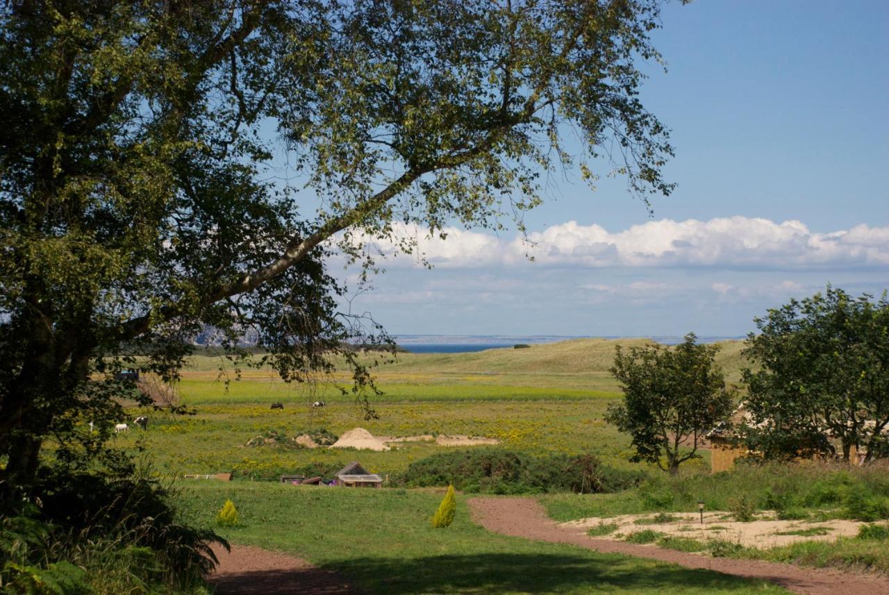Harvest Moon Treehouse Villa Дънбар Екстериор снимка